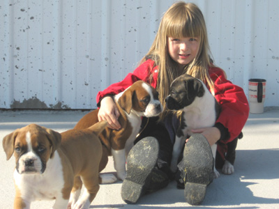 Linda and Bailey's Pups